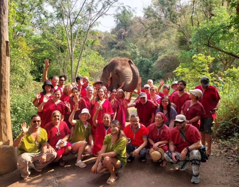 Experience the joy of being close to a kind-hearted giant