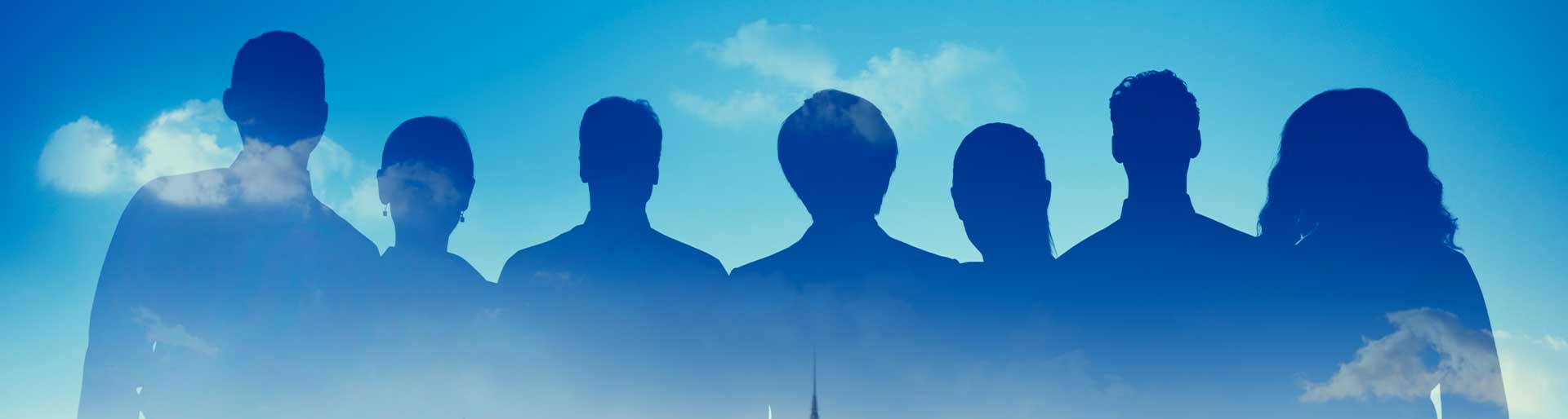 Meet the Team