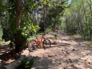 Explore Bangkok’s Hidden Green Paradise on Two Wheels 1