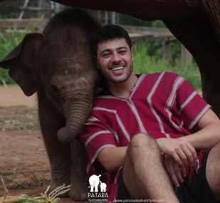 Baby Elephant For A Day 1