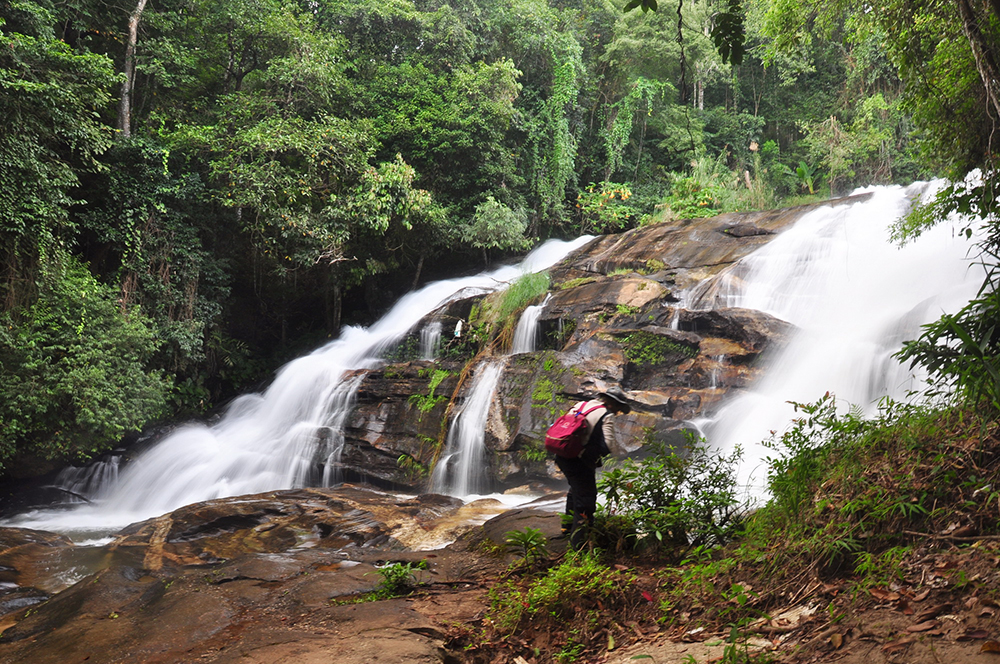 The Breathtaking Pha Dok Siew Nature Trail 4