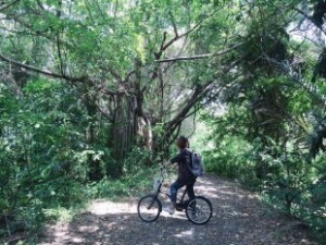 Explore Bangkok’s Hidden Green Paradise on Two Wheels 7