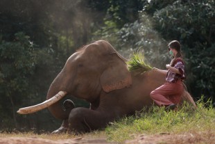 Chiang Mai Tour (3 Days) 3