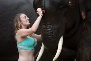 Elephant Day Care 1