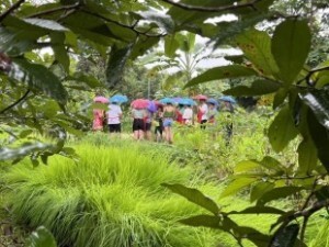 Thai Farm Cooking School 3
