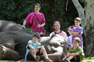 Elephant Day Care 5