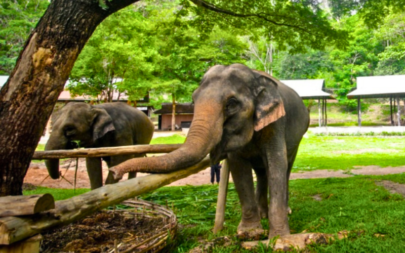 THE UNSEEN AND RENOWN OF PHUKET 5