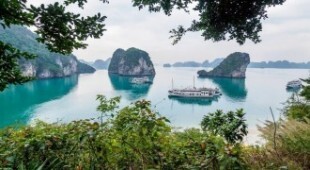 Vietnam Overnight Cruise 11
