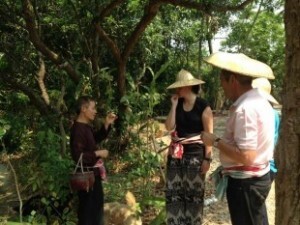Chiang Mai Home Host Cooking Experience 7
