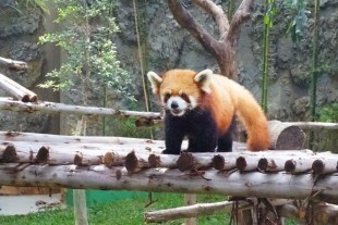 Chiang Mai Tour (3 Days) 6