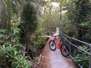 Explore Bangkok’s Hidden Green Paradise on Two Wheels 3
