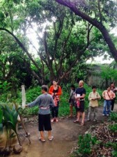 Chiang Mai Home Host Cooking Experience 11