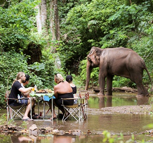 Elephant Safari 1