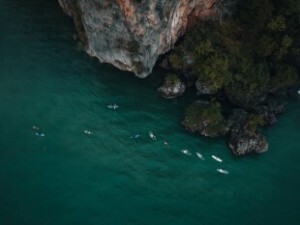 Bio-Luminescent Swimming 11