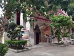 Explore Bangkok’s Hidden Green Paradise on Two Wheels 11