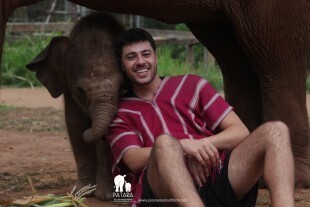 Elephant Day Care 9