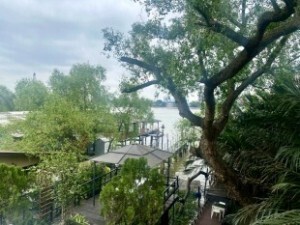 Explore Bangkok’s Hidden Green Paradise on Two Wheels 4