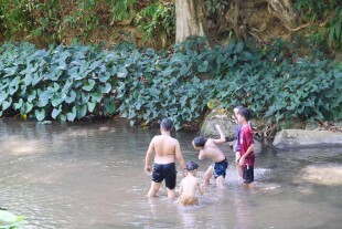 Khao Sok and Cheow Larn Lake 10