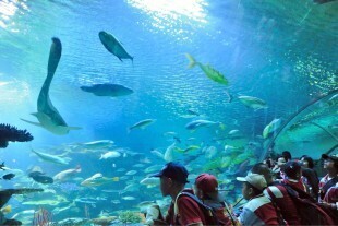 Chiang Mai Tour (3 Days) 8