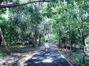 Explore Bangkok’s Hidden Green Paradise on Two Wheels 6