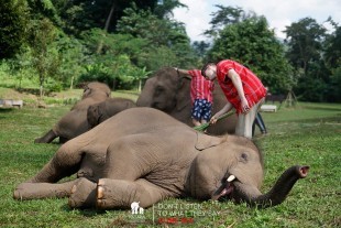 Elephant Day Care 6