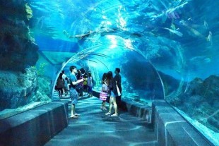 3 Days 2 Nights in Bangkok 7