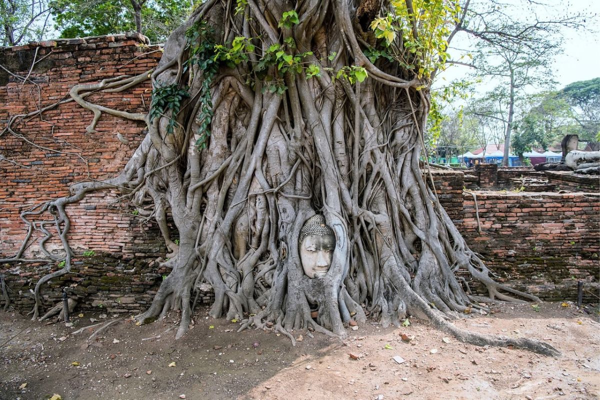 THE HISTORICAL AND HERITAGE THAILAND 8