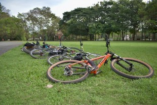 Explore Bangkok’s Hidden Green Paradise on Two Wheels 9