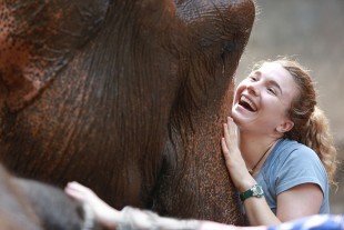 Elephant Day Care 4