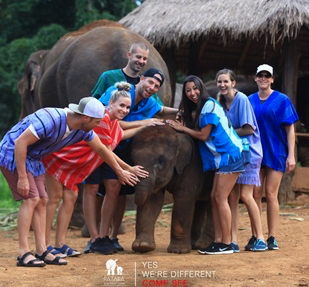 Baby Elephant For A Day 3