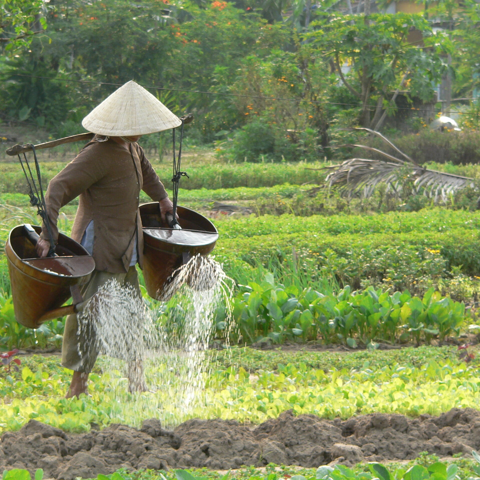 Vietnam Classic 11 Days 10 Nights