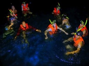 Bio-Luminescent Swimming