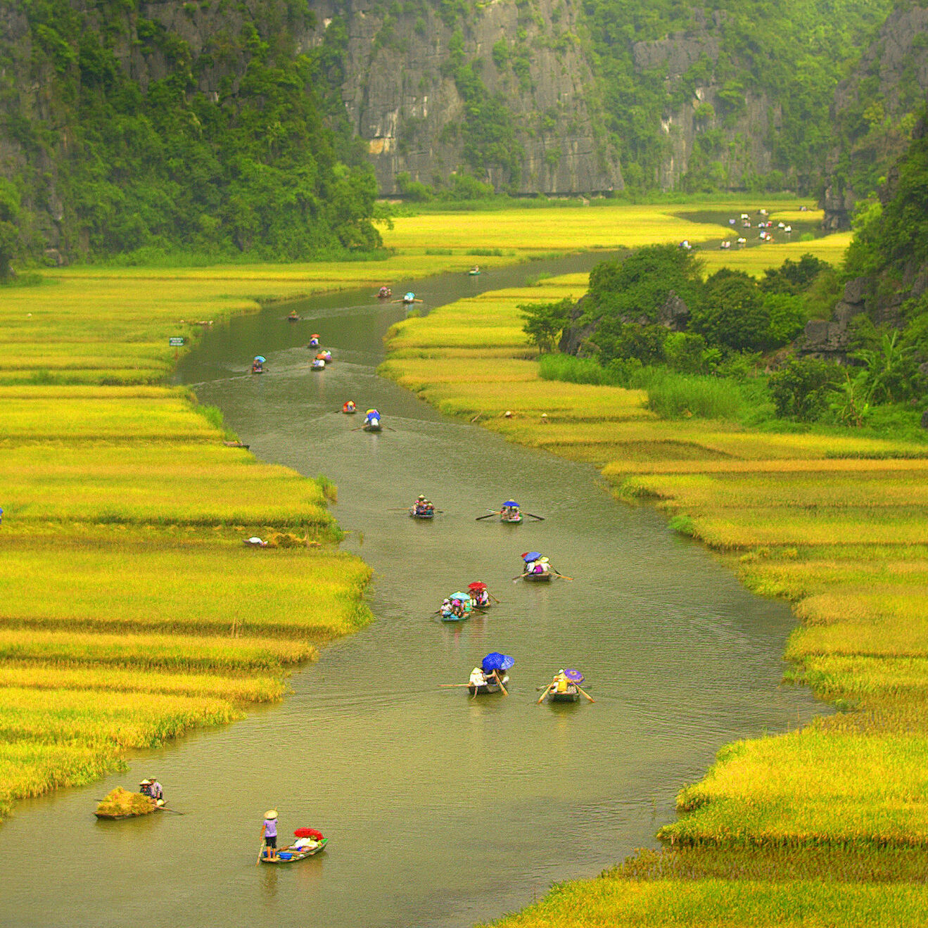 NINH BIN RURAL LIFE