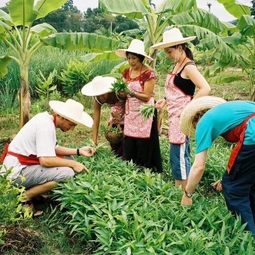 Thai Farm Cooking School