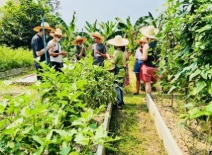 Thai Farm Cooking School 7