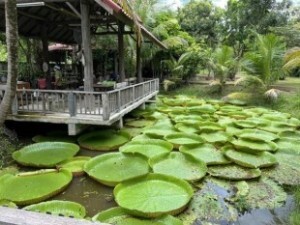 Thai Farm Cooking School 1