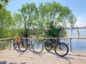 Explore Bangkok’s Hidden Green Paradise on Two Wheels 2