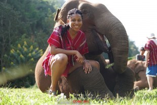 Elephant Day Care 8