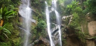 Premier Trek and Elephant Sanctuary 3