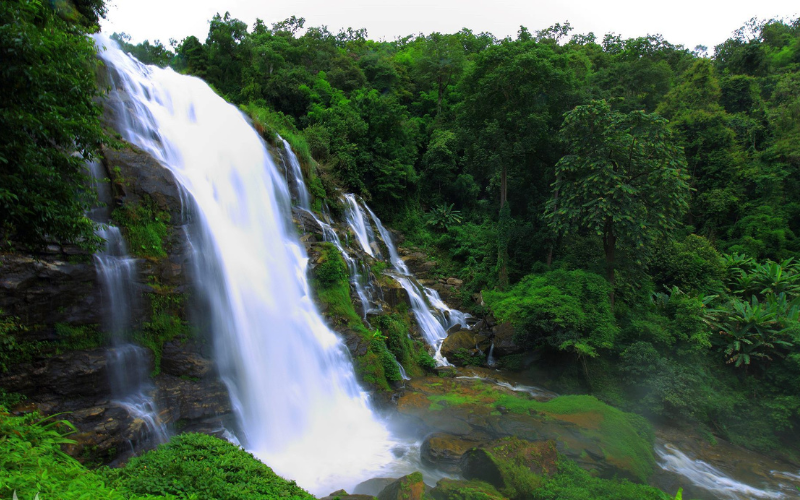 The Breathtaking Pha Dok Siew Nature Trail 8
