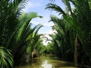 BEN TRE TAM HIEP ISLAND 1