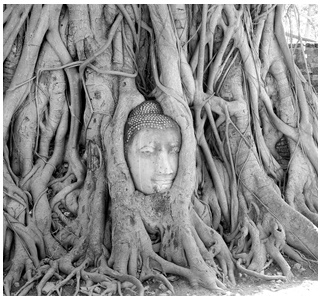 FULL DAY AYUTTHAYA BANG PA-IN WITH LUNCH by VAN 2