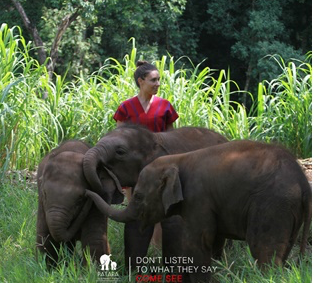 Baby Elephant For A Day 2