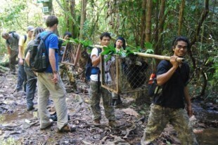 Phuket Tour (3 Days) 3